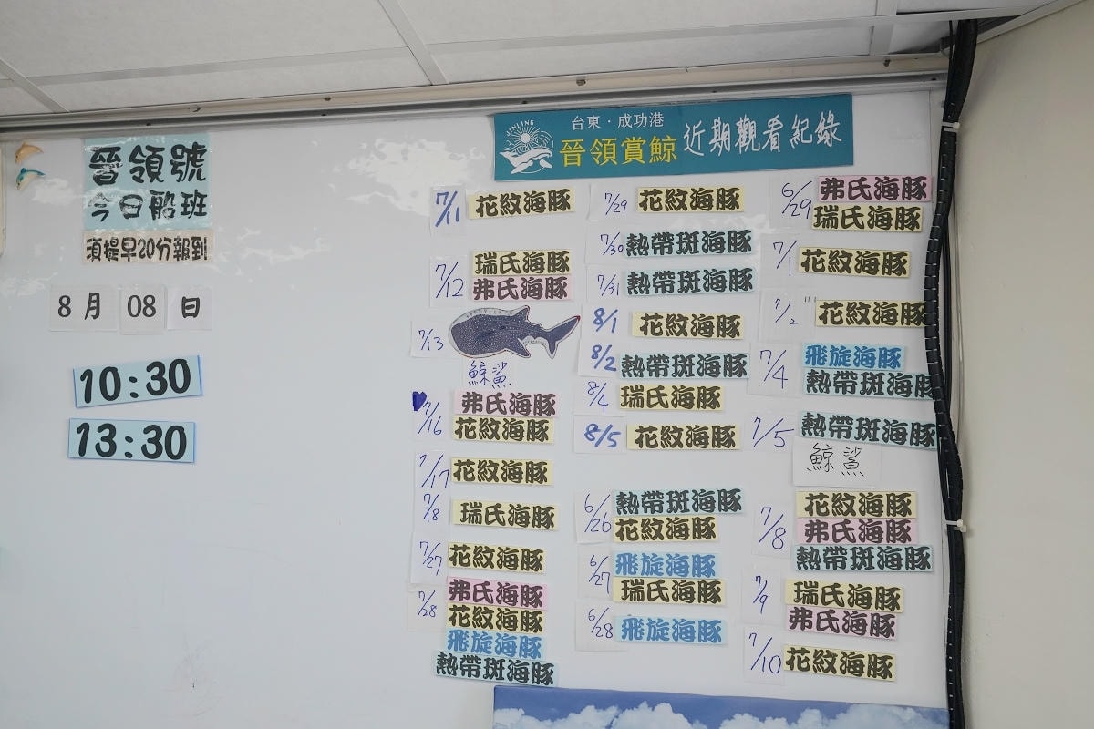 【晉領號】台東成功港賞鯨船推薦 台灣東部賞鯨行程親子遊必訪 每年5~10月期間限定錯過可惜