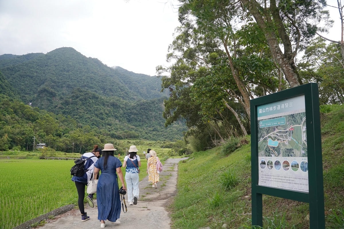 【花蓮富里羅山休閒農業區】里山竹炭包體驗 羅山竹林步道深度親近自然體驗