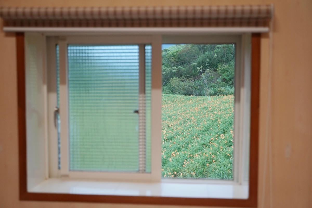 【益順休閒農場】花蓮六十石山住宿推薦 窗外即是滿滿金針花海 住宿餐飲就像是回到老家一樣舒適