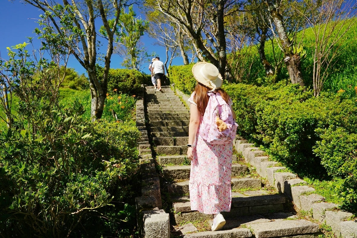【964驛站二訪】花蓮富里六十石山採金針體驗 六十石山制高點忘憂亭 六十石山最好吃的炸金針