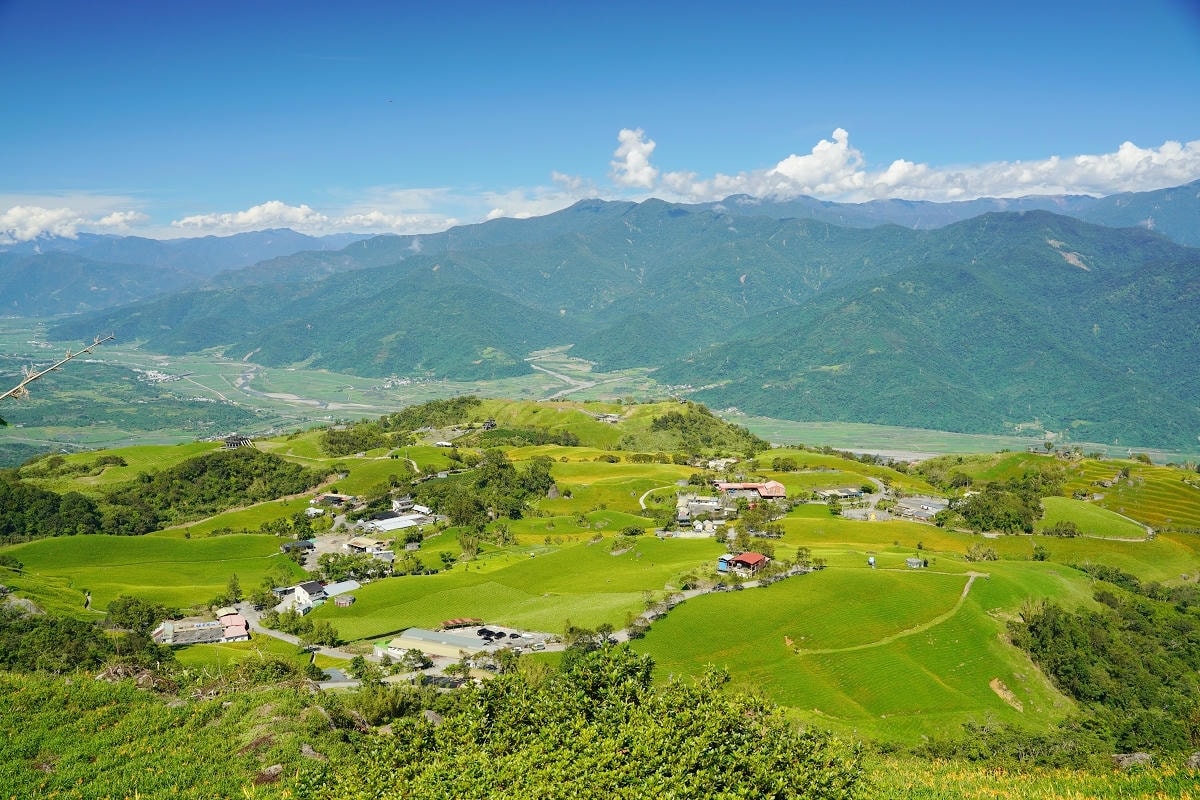 【964驛站二訪】花蓮富里六十石山採金針體驗 六十石山制高點忘憂亭 六十石山最好吃的炸金針