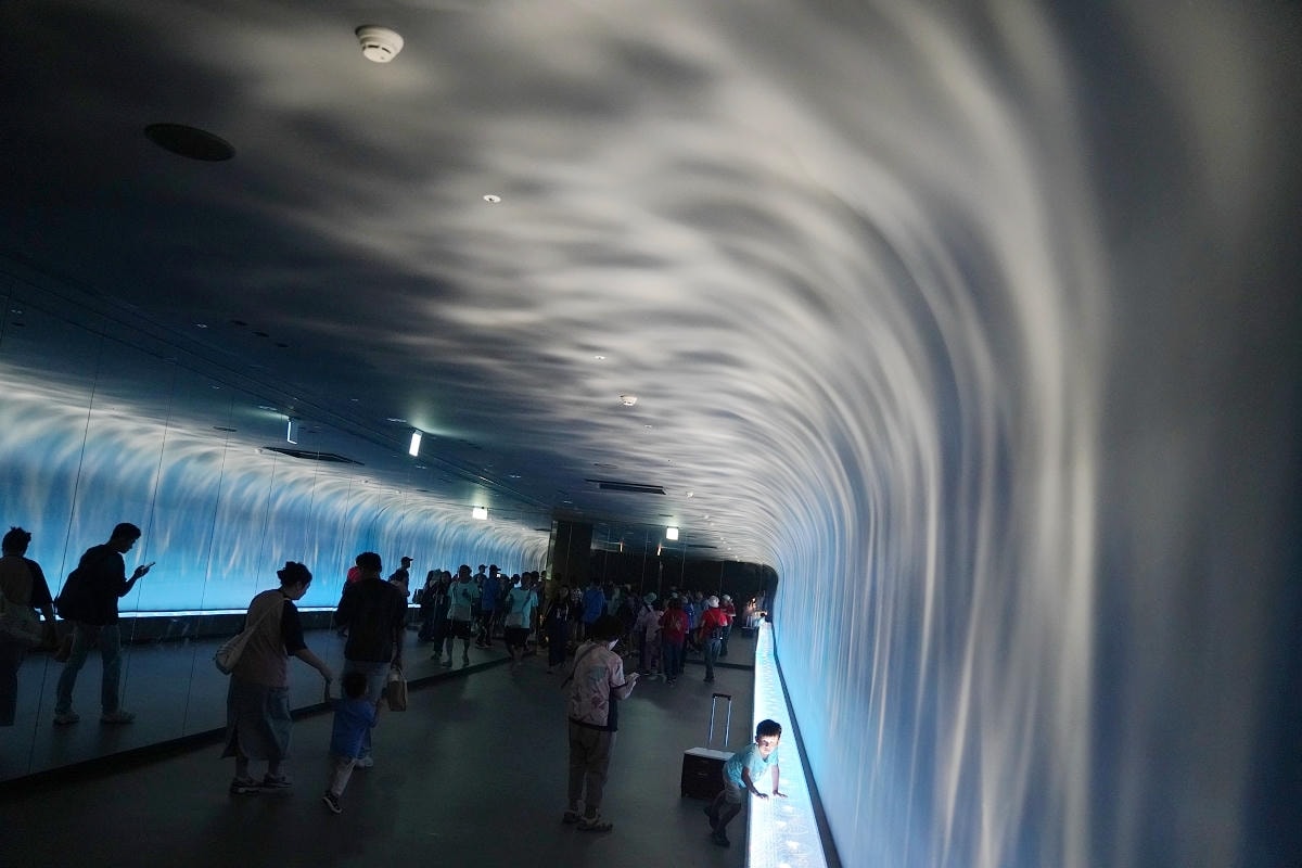 【台中海洋館亮點大公開】台灣最大水母展示區/首座室內人工溼地 台灣首見企鵝開放式展示缸