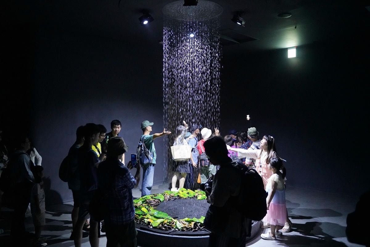 【台中海洋館亮點大公開】台灣最大水母展示區/首座室內人工溼地 台灣首見企鵝開放式展示缸