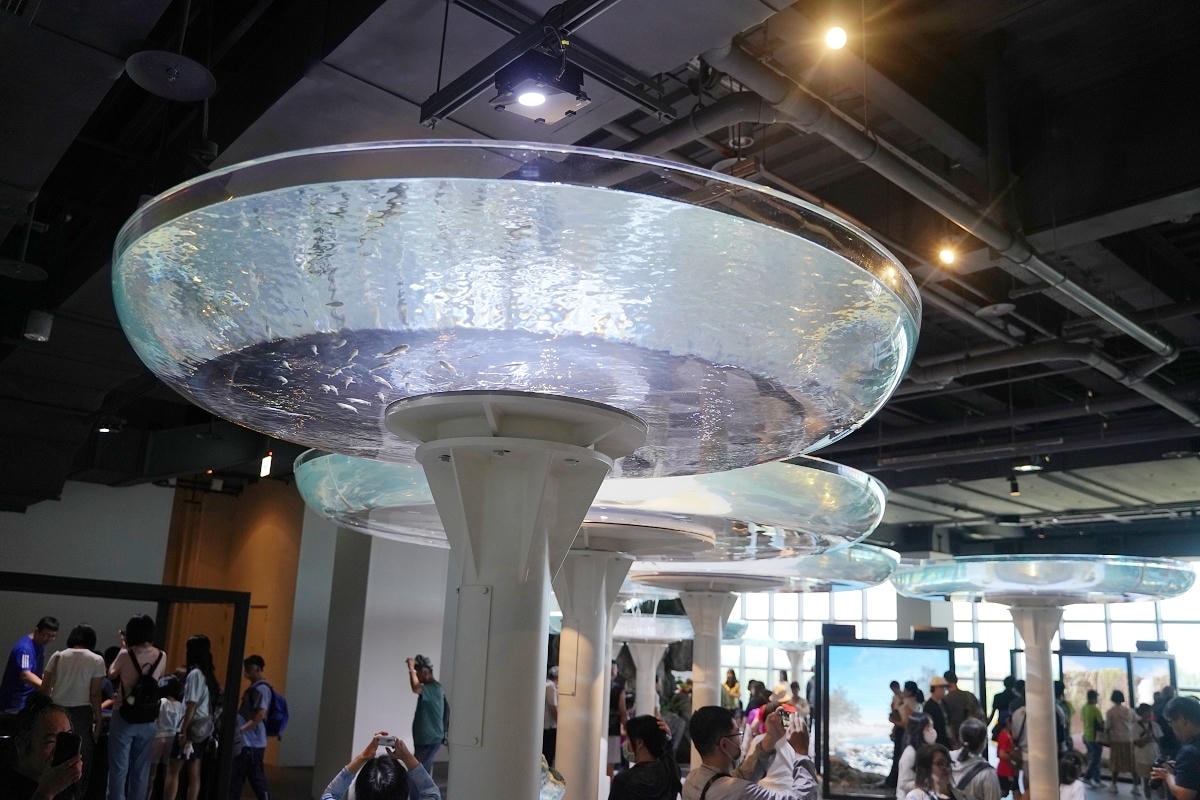 【台中海洋館亮點大公開】台灣最大水母展示區/首座室內人工溼地 台灣首見企鵝開放式展示缸