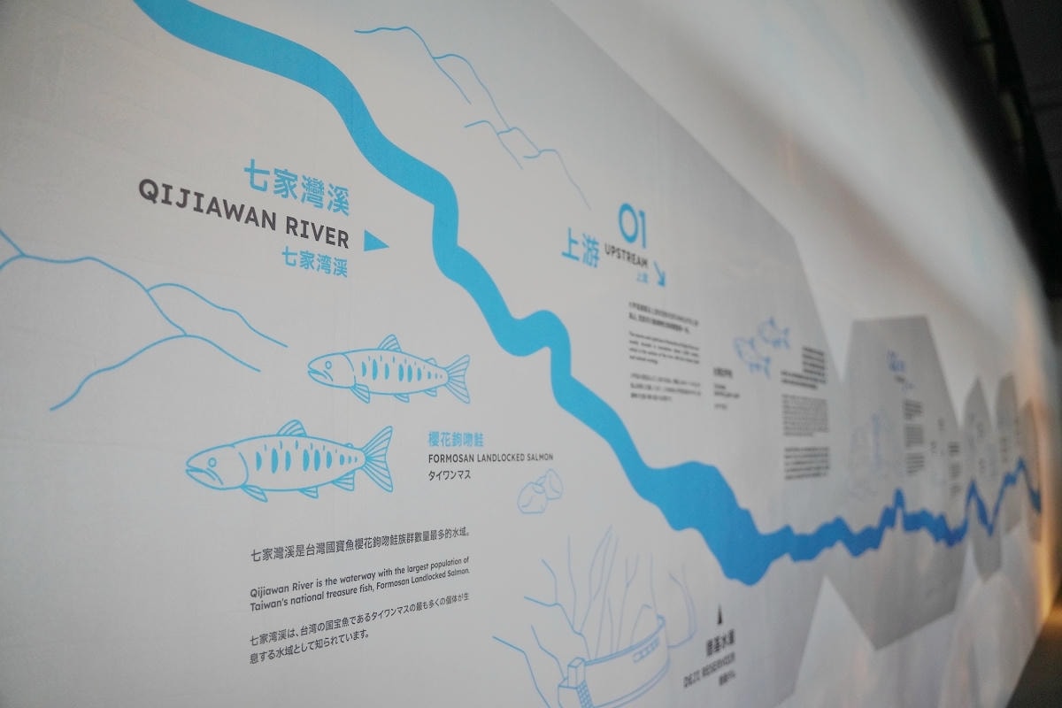【台中海洋館亮點大公開】台灣最大水母展示區/首座室內人工溼地 台灣首見企鵝開放式展示缸