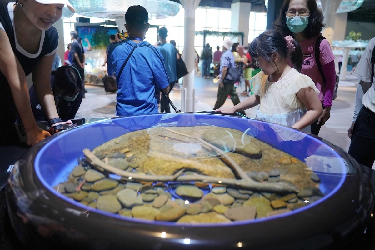 【台中海洋館亮點大公開】台灣最大水母展示區/首座室內人工溼地 台灣首見企鵝開放式展示缸