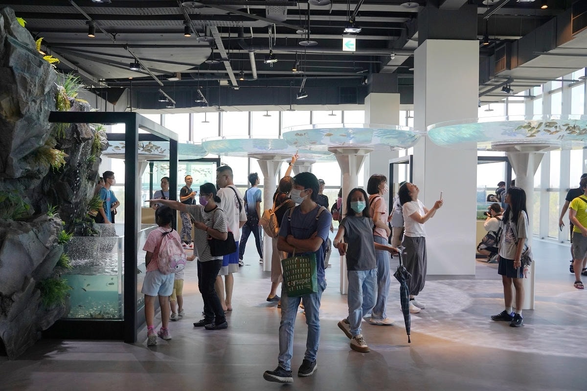 【台中海洋館亮點大公開】台灣最大水母展示區/首座室內人工溼地 台灣首見企鵝開放式展示缸