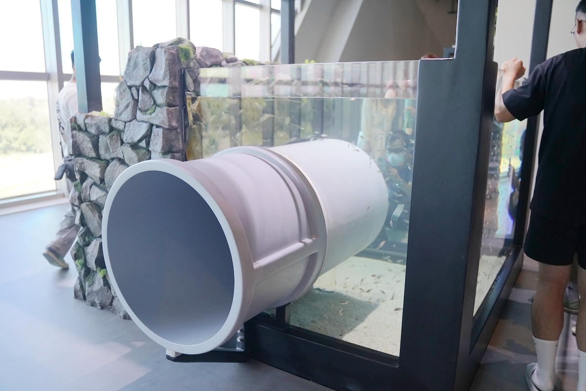 【台中海洋館亮點大公開】台灣最大水母展示區/首座室內人工溼地 台灣首見企鵝開放式展示缸