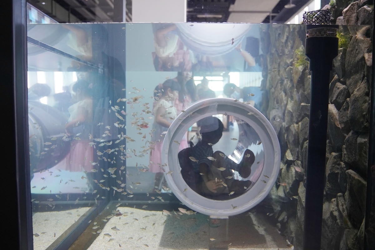 【台中海洋館亮點大公開】台灣最大水母展示區/首座室內人工溼地 台灣首見企鵝開放式展示缸
