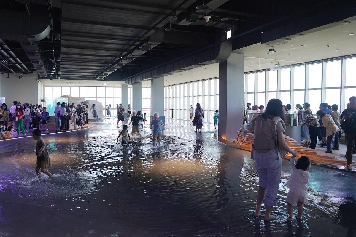 【台中海洋館亮點大公開】台灣最大水母展示區/首座室內人工溼地 台灣首見企鵝開放式展示缸