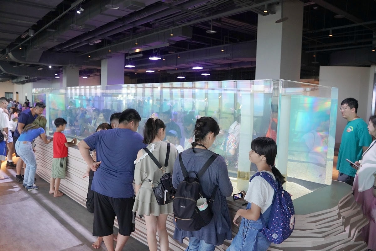 【台中海洋館亮點大公開】台灣最大水母展示區/首座室內人工溼地 台灣首見企鵝開放式展示缸