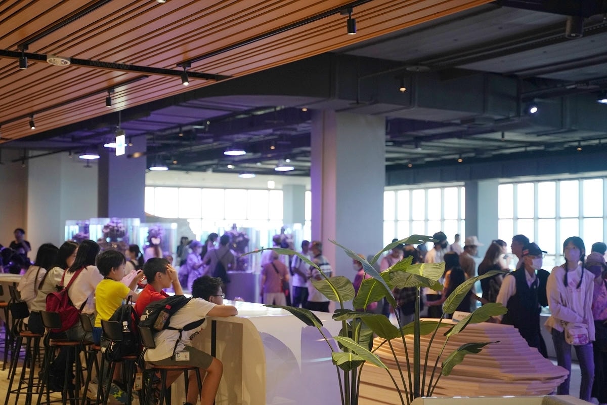 【台中海洋館亮點大公開】台灣最大水母展示區/首座室內人工溼地 台灣首見企鵝開放式展示缸