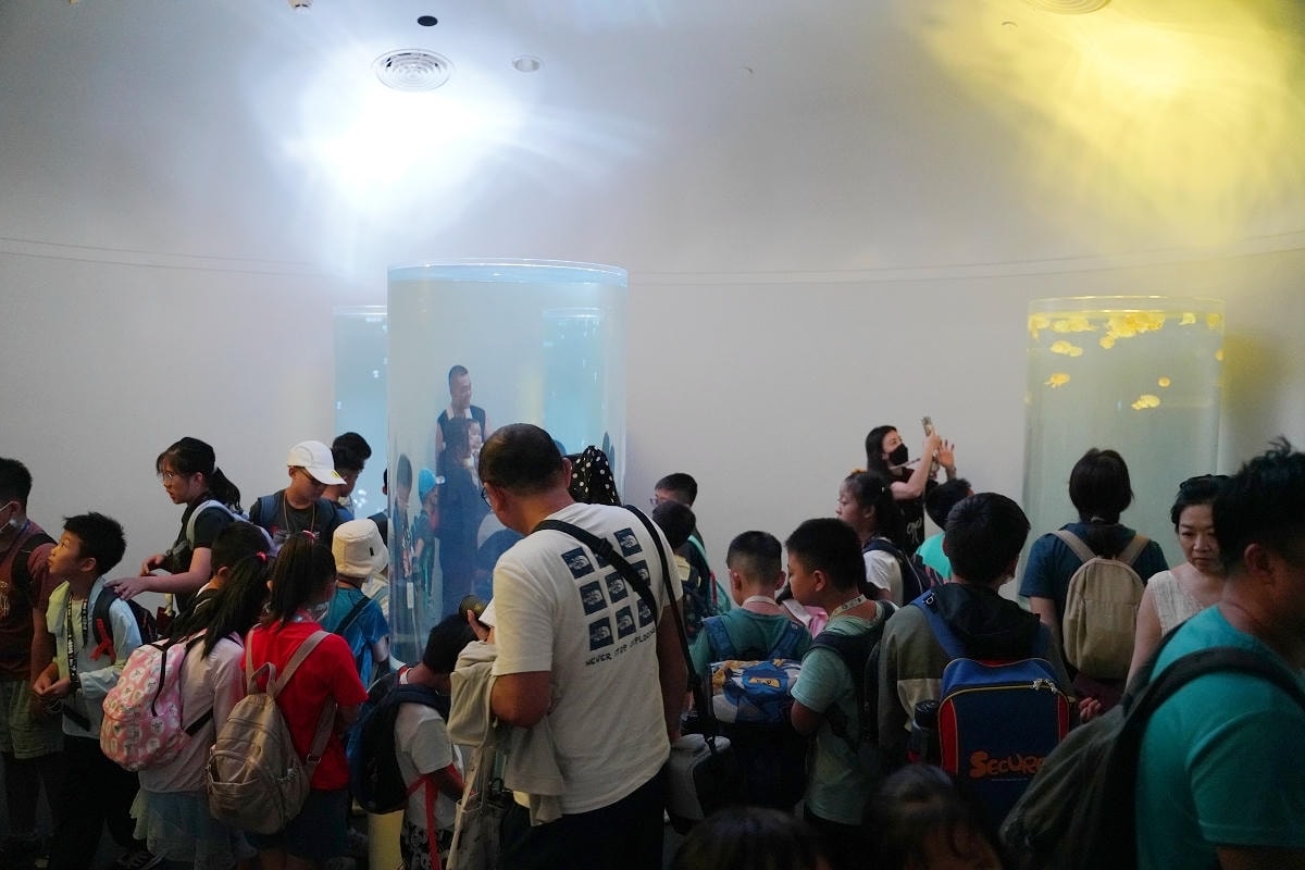 【台中海洋館亮點大公開】台灣最大水母展示區/首座室內人工溼地 台灣首見企鵝開放式展示缸