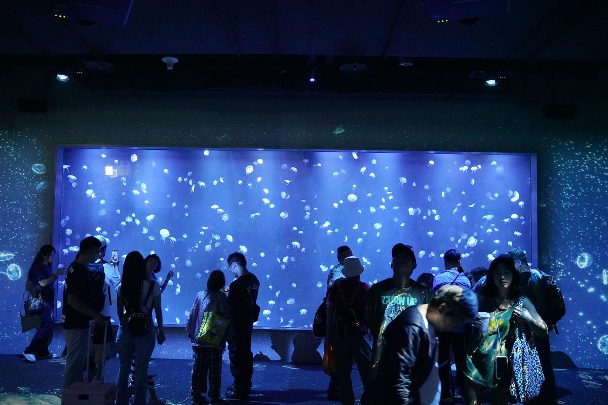 【台中海洋館亮點大公開】台灣最大水母展示區/首座室內人工溼地 台灣首見企鵝開放式展示缸