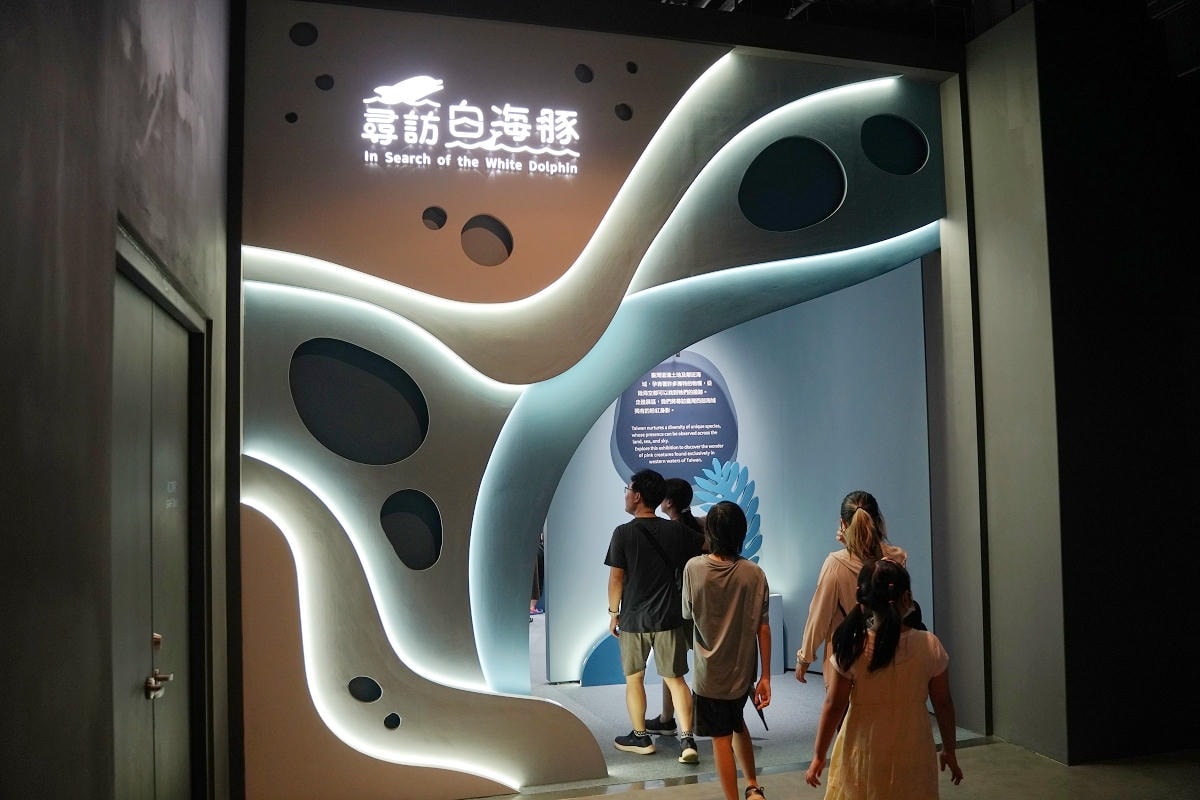 【台中海洋館亮點大公開】台灣最大水母展示區/首座室內人工溼地 台灣首見企鵝開放式展示缸