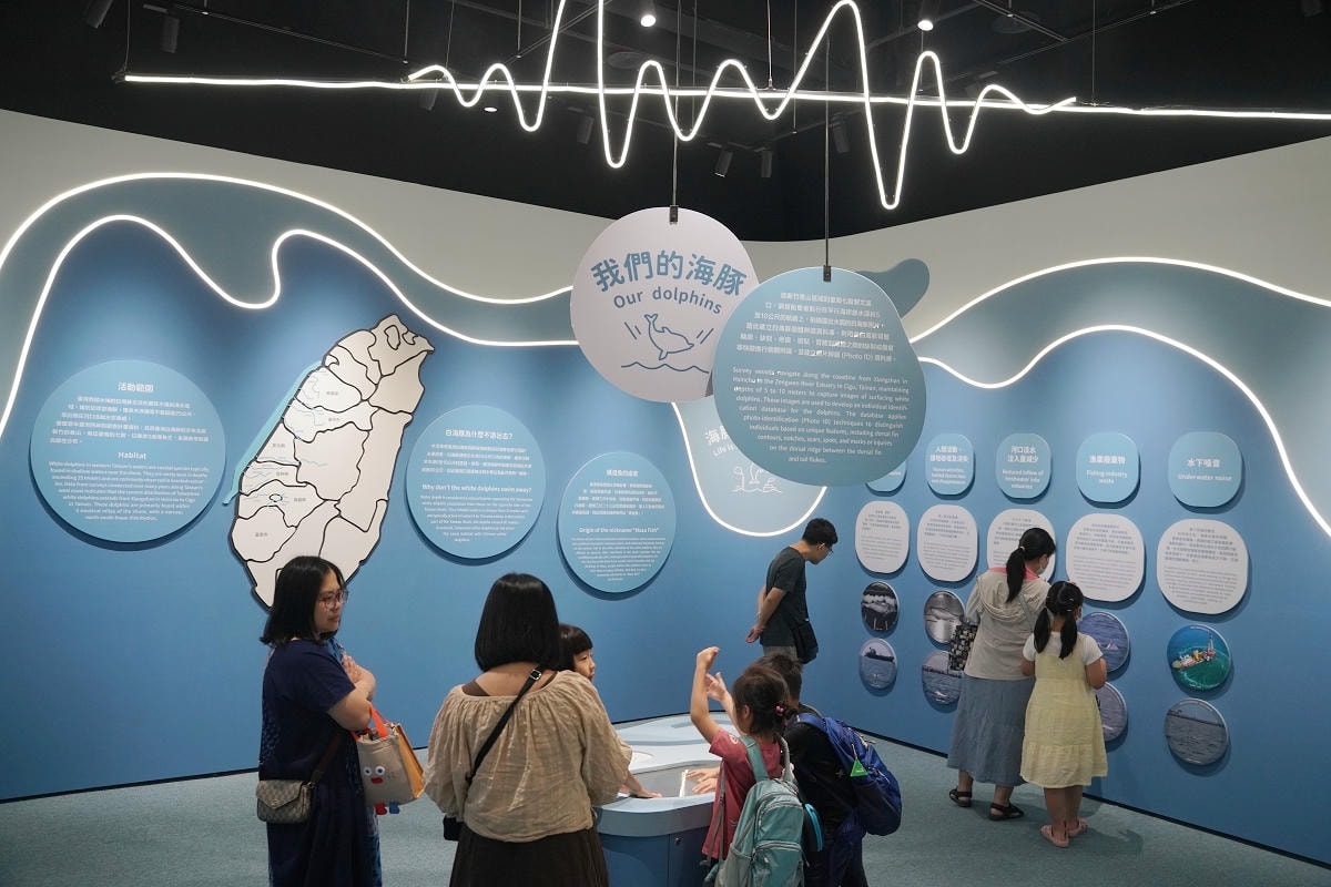 【台中海洋館亮點大公開】台灣最大水母展示區/首座室內人工溼地 台灣首見企鵝開放式展示缸