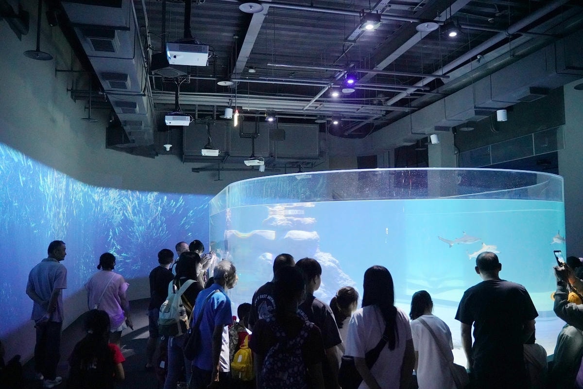 【台中海洋館亮點大公開】台灣最大水母展示區/首座室內人工溼地 台灣首見企鵝開放式展示缸