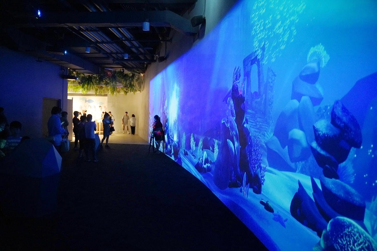 【台中海洋館亮點大公開】台灣最大水母展示區/首座室內人工溼地 台灣首見企鵝開放式展示缸
