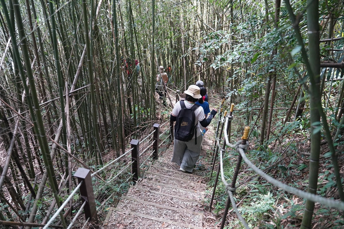 【溪口台社區走讀散策】走進山林的家屋 溪口台部落的一日生活 金牌農村遊程心得分享