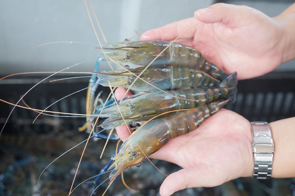 【就是愛海鮮-海鮮肉品市集】彰化最大海鮮市集推薦 百坪停車場好停車 中秋烤肉火鍋採買必訪 - 第6張圖 【就是愛海鮮-海鮮肉品市集】彰化最大海鮮市集推薦 百坪停車場好停車 中秋烤肉火鍋採買必訪