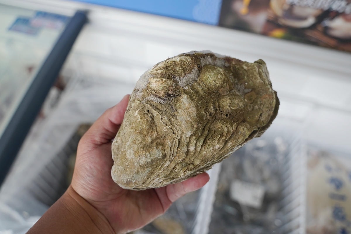 【就是愛海鮮-海鮮肉品市集】彰化最大海鮮市集推薦 百坪停車場好停車 中秋烤肉火鍋採買必訪 - 第11張圖 【就是愛海鮮-海鮮肉品市集】彰化最大海鮮市集推薦 百坪停車場好停車 中秋烤肉火鍋採買必訪