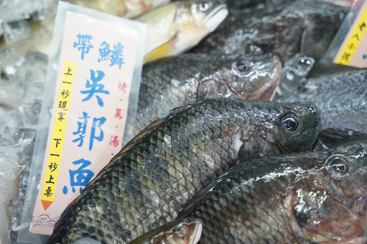【就是愛海鮮-海鮮肉品市集】彰化最大海鮮市集推薦 百坪停車場好停車 中秋烤肉火鍋採買必訪 - 第52張圖 【就是愛海鮮-海鮮肉品市集】彰化最大海鮮市集推薦 百坪停車場好停車 中秋烤肉火鍋採買必訪