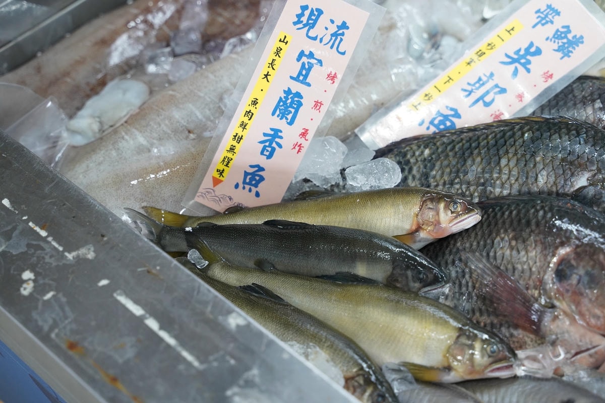 【就是愛海鮮-海鮮肉品市集】彰化最大海鮮市集推薦 百坪停車場好停車 中秋烤肉火鍋採買必訪 - 第53張圖 【就是愛海鮮-海鮮肉品市集】彰化最大海鮮市集推薦 百坪停車場好停車 中秋烤肉火鍋採買必訪
