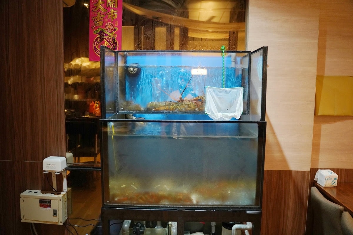 【小海童日式料理】青埔日式無菜單料理推薦 美味活體海鮮+季節時魚 慶生聚餐團體包廂吃飯首選