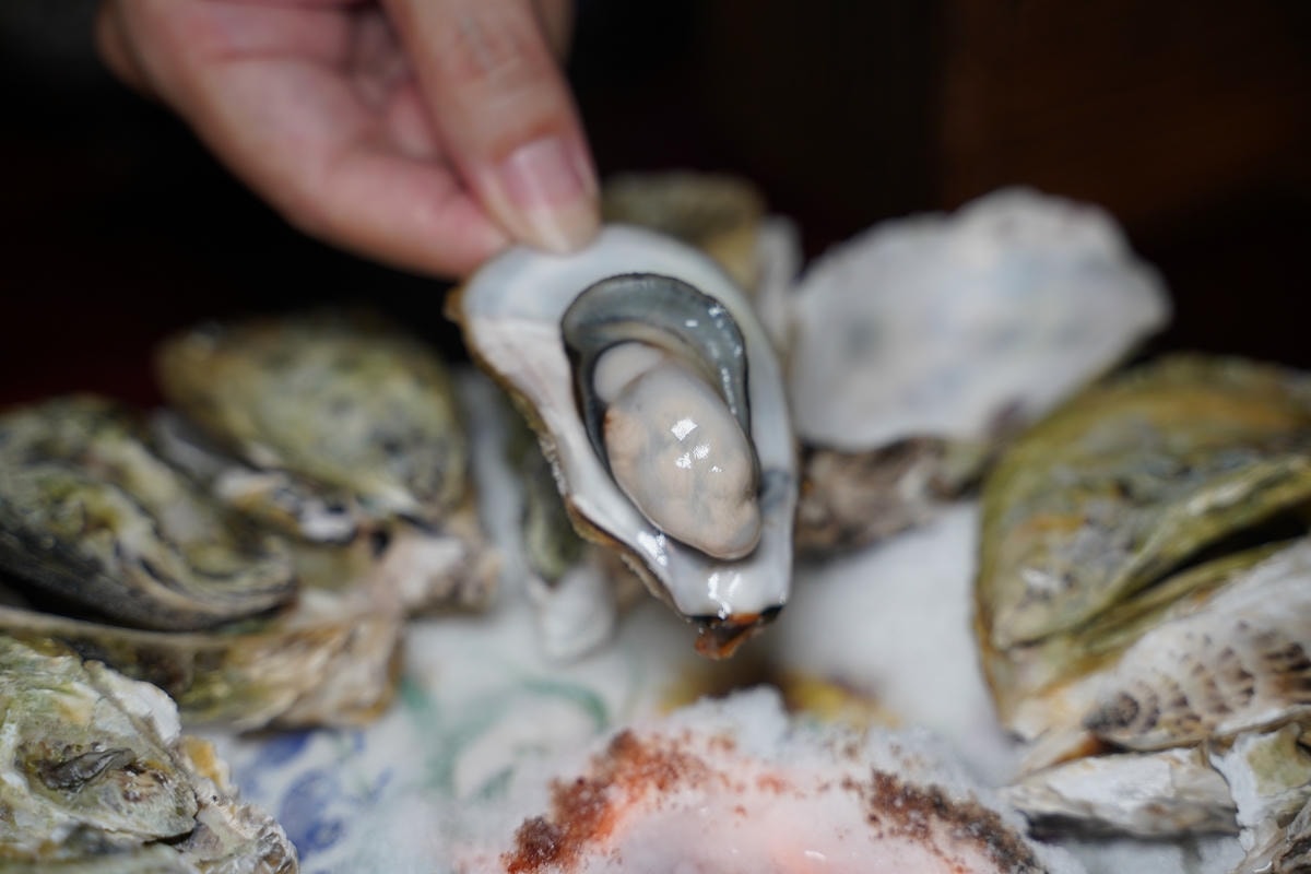 【小林英夫日本料理】台北萬華日式料理推薦 精緻平價日式美食 日式卡哇依裝飾/懷舊居酒屋風格 - 第36張圖 【小林英夫日本料理】台北萬華日式料理推薦 精緻平價日式美食 日式卡哇依裝飾/懷舊居酒屋風格