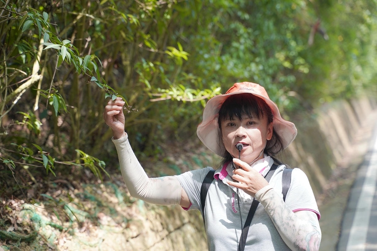 【遇見三洽水】三和社區走讀散策 和窯手作蕨類上板 繞山花在地美食餐桌 南瓜窯烤披薩DIY