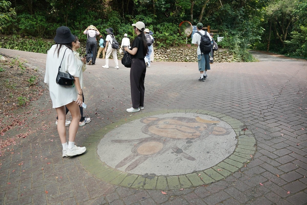 【遇見三洽水】三和社區走讀散策 和窯手作蕨類上板 繞山花在地美食餐桌 南瓜窯烤披薩DIY