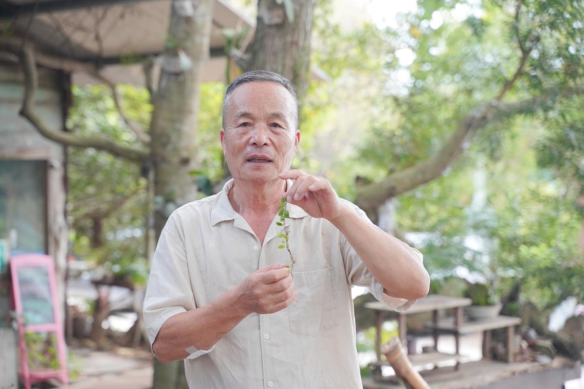 【遇見三洽水】三和社區走讀散策 和窯手作蕨類上板 繞山花在地美食餐桌 南瓜窯烤披薩DIY