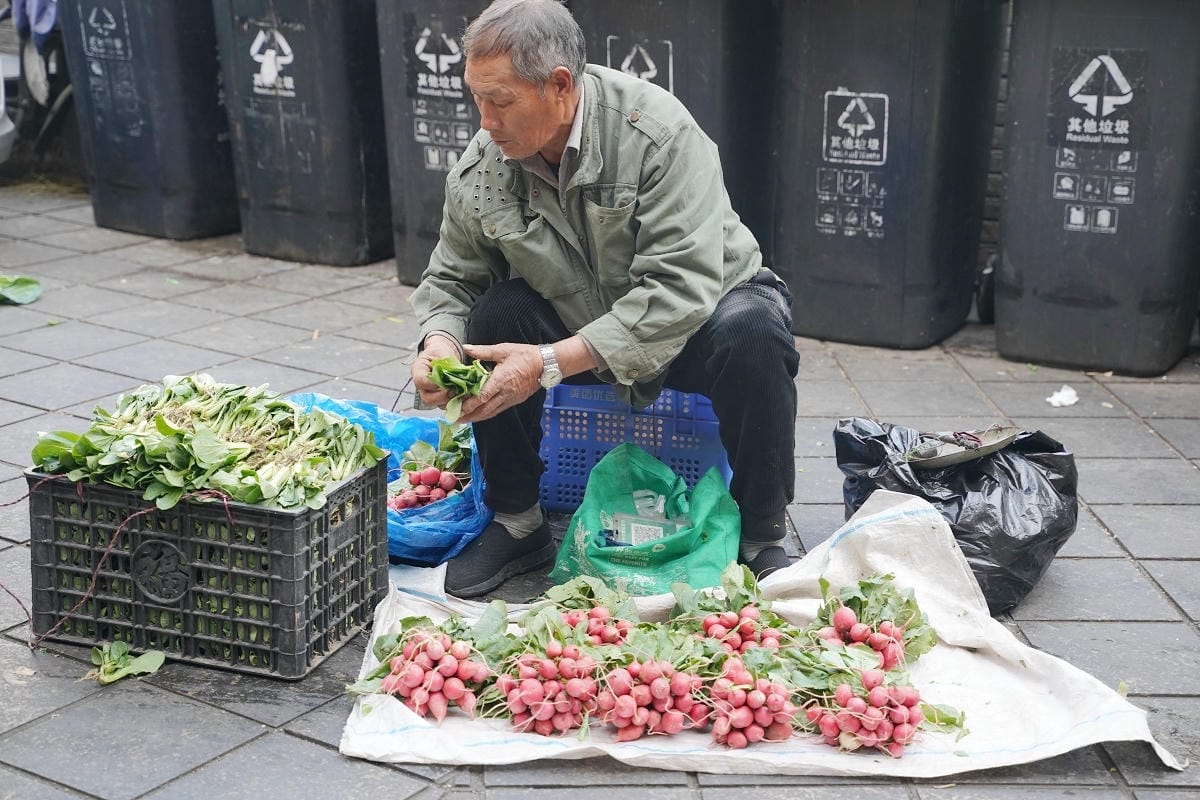 【南京科巷商業街區】南京露天菜市場人間煙火氣 在地當季蔬果海鮮肉品食材市集 科巷美食市集