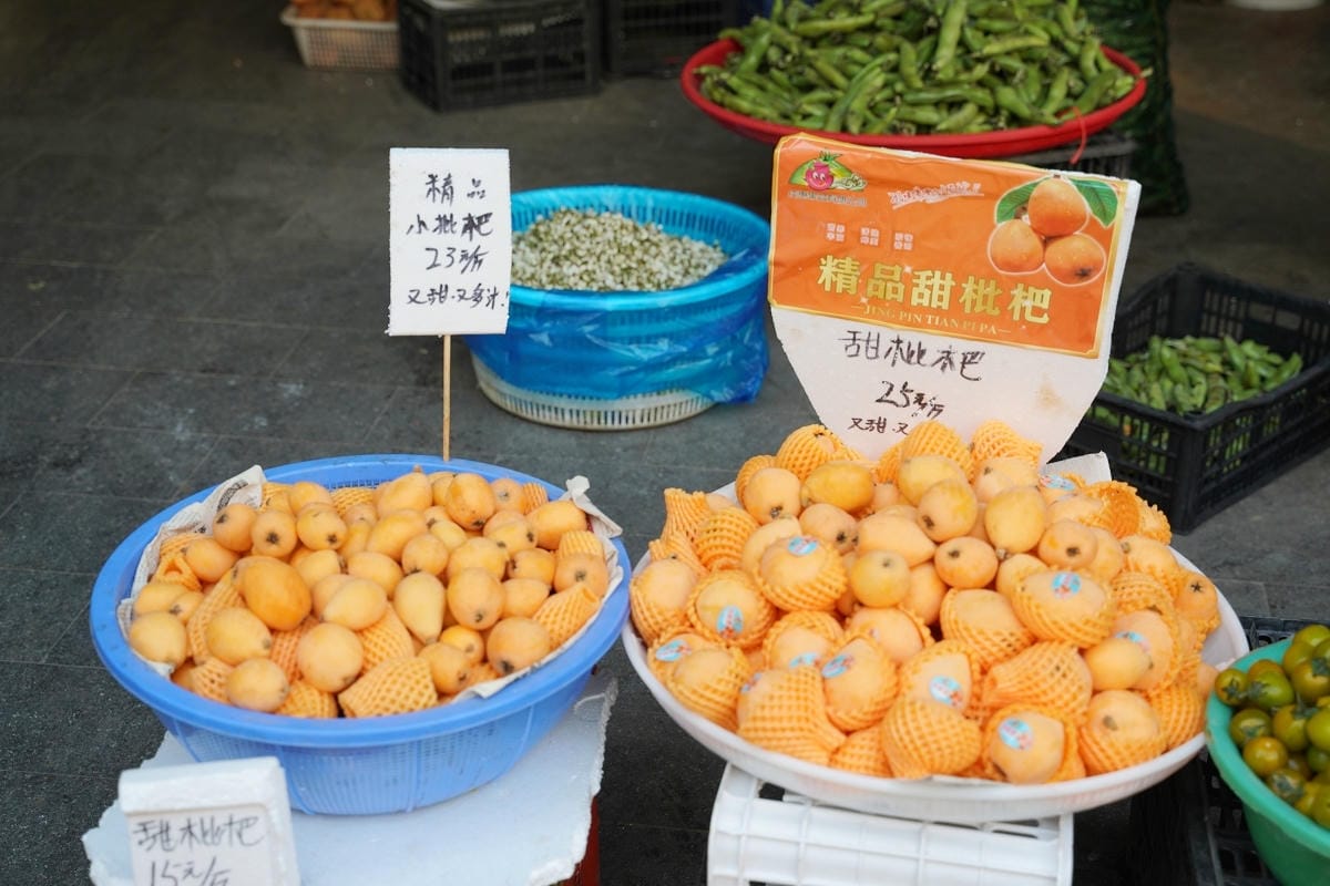 【南京科巷商業街區】南京露天菜市場人間煙火氣 在地當季蔬果海鮮肉品食材市集 科巷美食市集