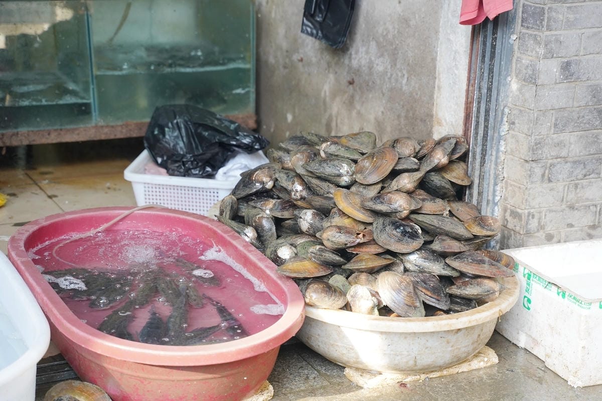 【南京科巷商業街區】南京露天菜市場人間煙火氣 在地當季蔬果海鮮肉品食材市集 科巷美食市集