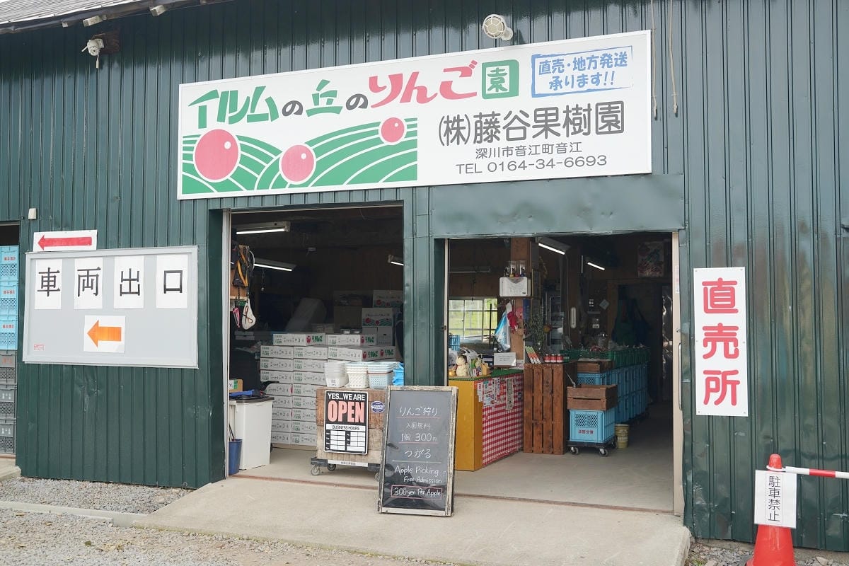 【藤谷果樹園 ふじたにかじゅえん】北海道深川親子景點推薦 入園無料自採蘋果1個300日圓 - 第3張圖 【藤谷果樹園 ふじたにかじゅえん】北海道深川親子景點推薦 入園無料自採蘋果1個300日圓