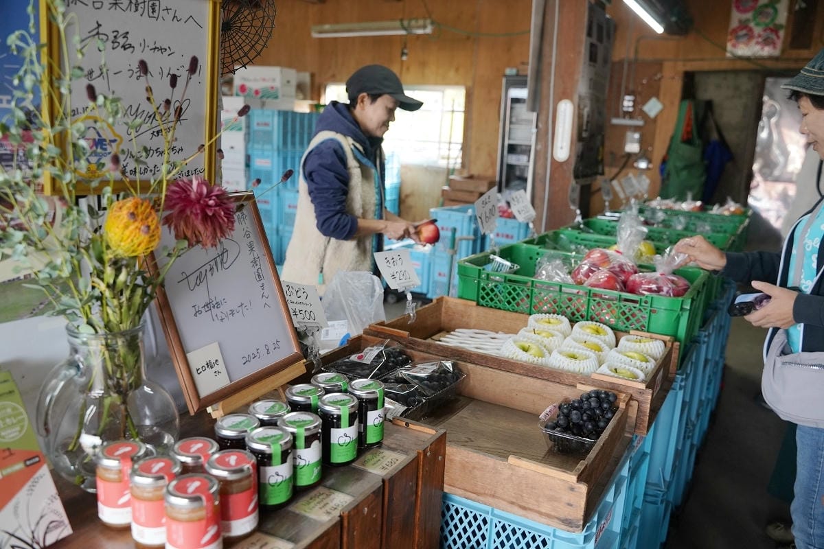 【藤谷果樹園 ふじたにかじゅえん】北海道深川親子景點推薦 入園無料自採蘋果1個300日圓 - 第5張圖 【藤谷果樹園 ふじたにかじゅえん】北海道深川親子景點推薦 入園無料自採蘋果1個300日圓