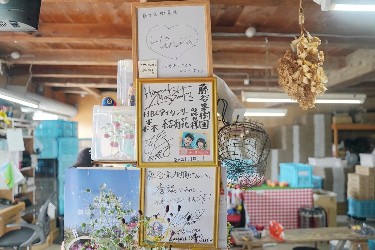 【藤谷果樹園 ふじたにかじゅえん】北海道深川親子景點推薦 入園無料自採蘋果1個300日圓 - 第10張圖 【藤谷果樹園 ふじたにかじゅえん】北海道深川親子景點推薦 入園無料自採蘋果1個300日圓
