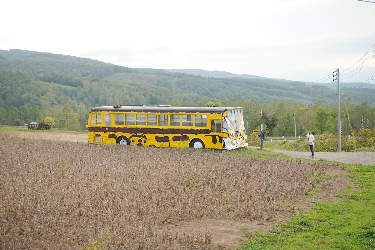 【戸外炉峠のネコバス】戶外炉峠駐車公園旁 北海道深川景點推薦 免費停車超可愛龍貓巴士免費拍