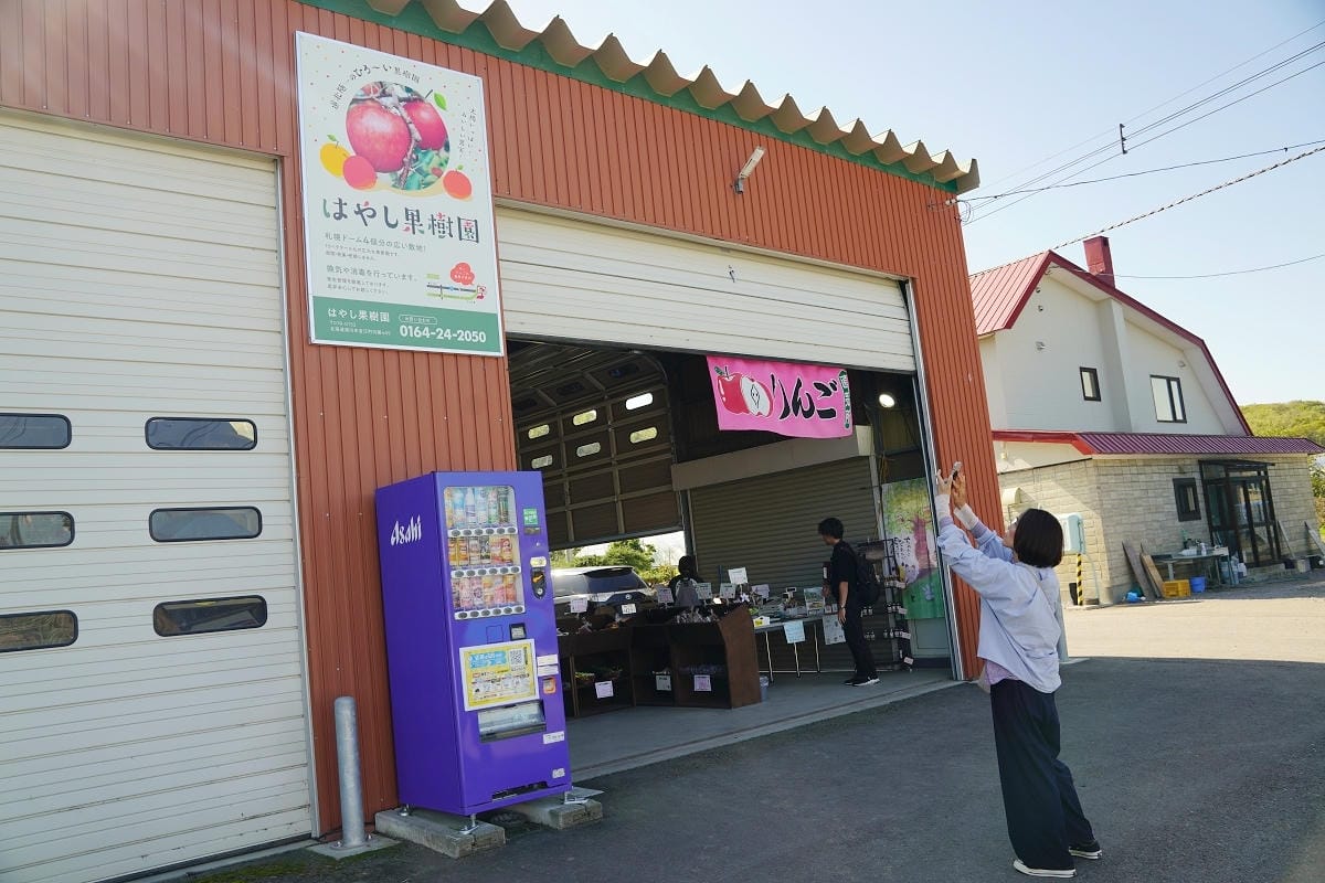【はやし果樹園】北海道深川傳承三代面積最大果園 蘋果/櫻桃/藍莓/李子每人1300円吃到飽
