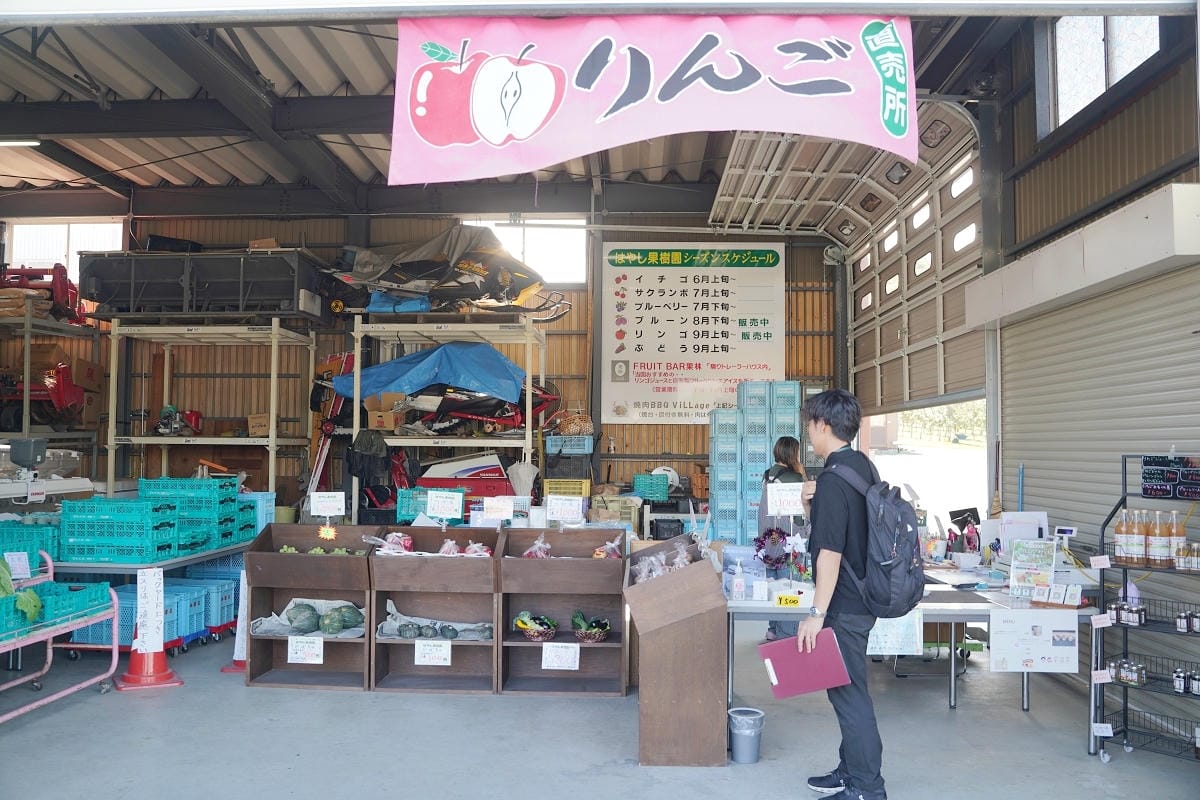 【はやし果樹園】北海道深川傳承三代面積最大果園 蘋果/櫻桃/藍莓/李子每人1300円吃到飽