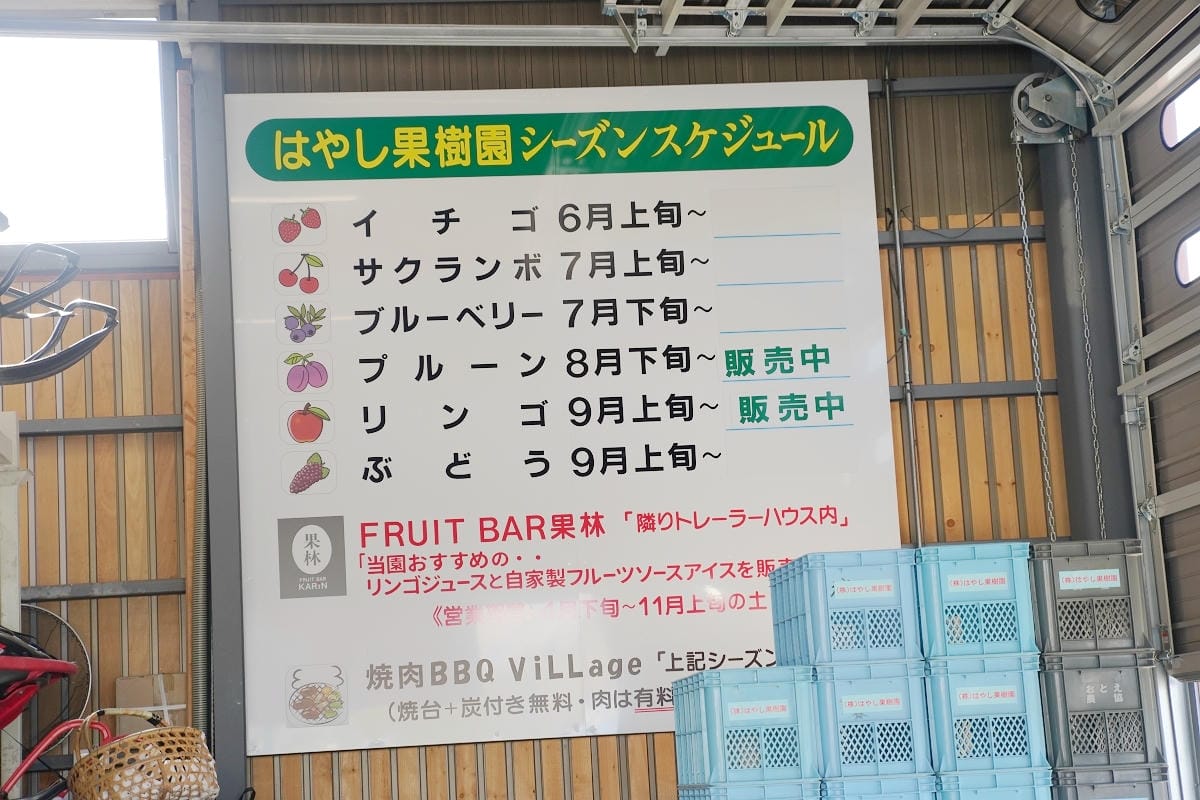 【はやし果樹園】北海道深川傳承三代面積最大果園 蘋果/櫻桃/藍莓/李子每人1300円吃到飽
