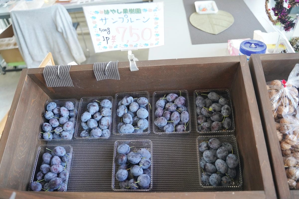 【はやし果樹園】北海道深川傳承三代面積最大果園 蘋果/櫻桃/藍莓/李子每人1300円吃到飽