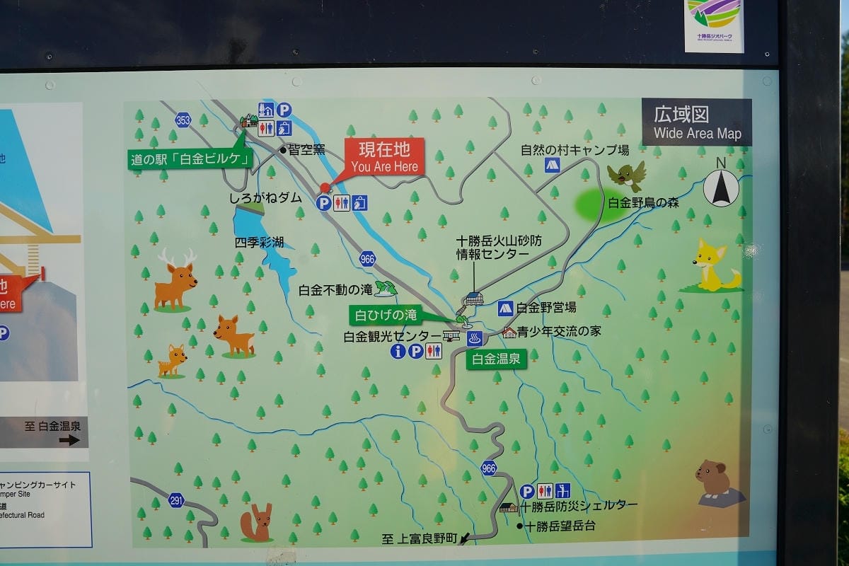 【白金青い池】北海道美瑛免費景點推薦 夢幻湛藍美瑛白金青池 夏季限定彈珠汽水美瑛牛奶霜淇淋 - 第4張圖 【白金青い池】北海道美瑛免費景點推薦 夢幻湛藍美瑛白金青池 夏季限定彈珠汽水美瑛牛奶霜淇淋