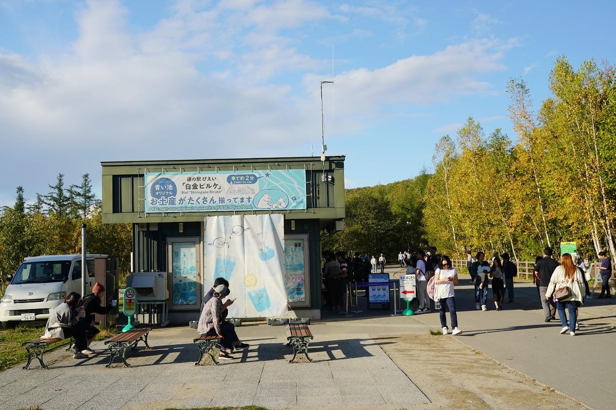 【白金青い池】北海道美瑛免費景點推薦 夢幻湛藍美瑛白金青池 夏季限定彈珠汽水美瑛牛奶霜淇淋 - 第7張圖 【白金青い池】北海道美瑛免費景點推薦 夢幻湛藍美瑛白金青池 夏季限定彈珠汽水美瑛牛奶霜淇淋