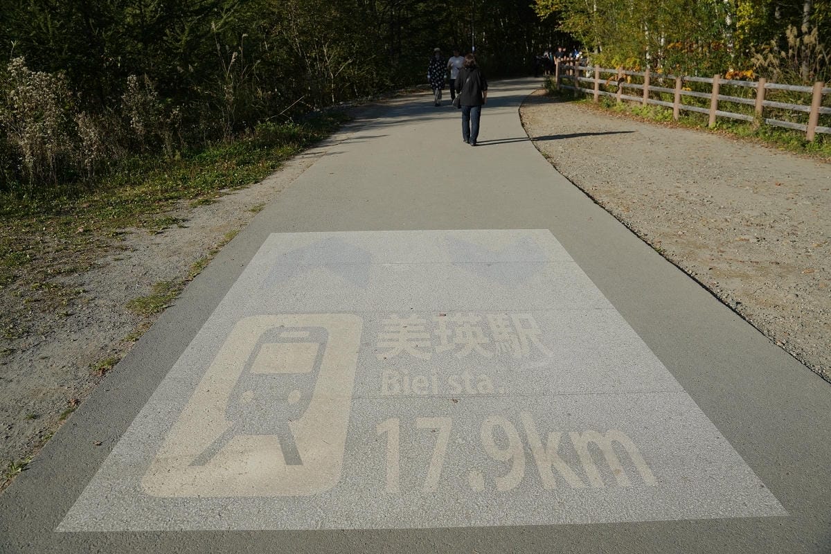 【白金青い池】北海道美瑛免費景點推薦 夢幻湛藍美瑛白金青池 夏季限定彈珠汽水美瑛牛奶霜淇淋 - 第11張圖 【白金青い池】北海道美瑛免費景點推薦 夢幻湛藍美瑛白金青池 夏季限定彈珠汽水美瑛牛奶霜淇淋