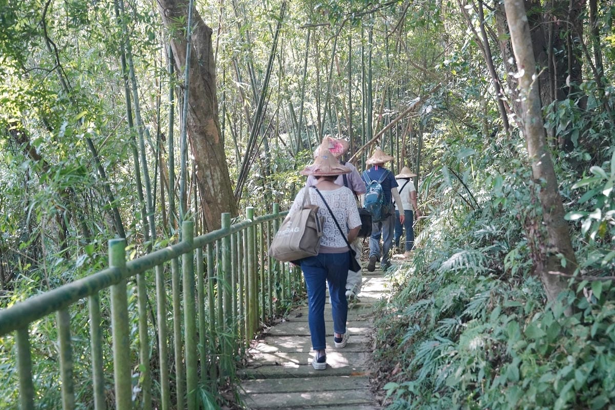【幸福南埔黃金水鄉】金牌農村競賽「金牌農村」殊榮 先人智慧百年陳屋水車 灌溉水圳朔溪體驗