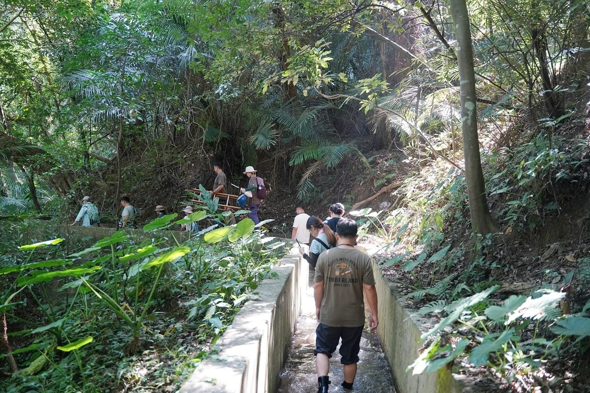 【幸福南埔黃金水鄉】金牌農村競賽「金牌農村」殊榮 先人智慧百年陳屋水車 灌溉水圳朔溪體驗