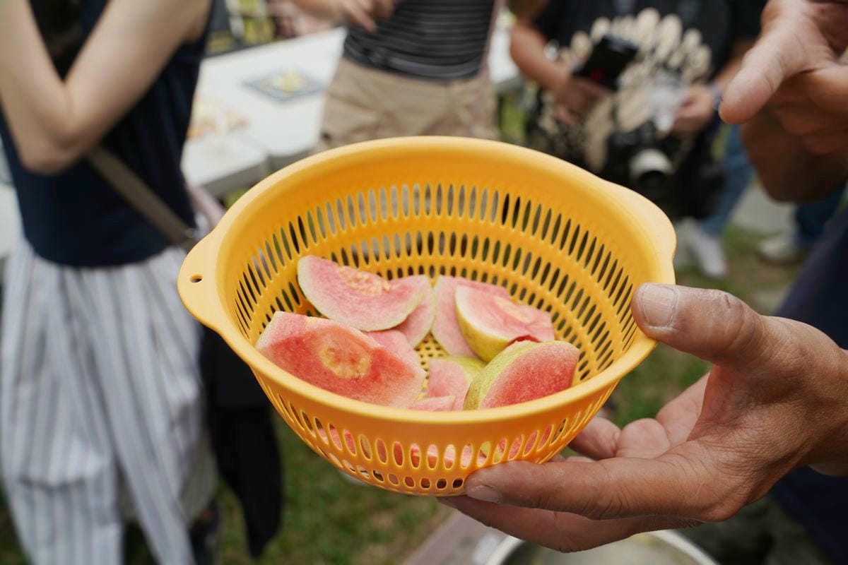 【牡丹果食】台南後壁芭樂觀光果園 有機肥料自製發酵益生菌 田間玩很大食農教育 - 第10張圖 【牡丹果食】台南後壁芭樂觀光果園 有機肥料自製發酵益生菌 田間玩很大食農教育
