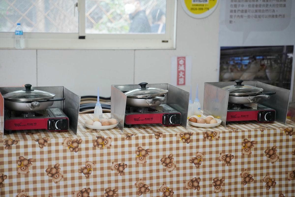 【長短樹放牧蛋】全場放牧通過永續認證 農業旅遊特色場域認證 與母雞近距離互動撿雞蛋食農體驗 - 第7張圖 【長短樹放牧蛋】全場放牧通過永續認證 農業旅遊特色場域認證 與母雞近距離互動撿雞蛋食農體驗